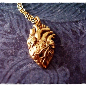 Gold Anatomical Heart Necklace - Bronze Anatomical Heart Charm on a Delicate 14kt Gold Filled Cable Chain or Charm Only
