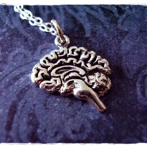 Silver Brain Necklace - Sterling Silver Brain Charm on a Delicate Sterling Silver Cable Chain or Charm Only