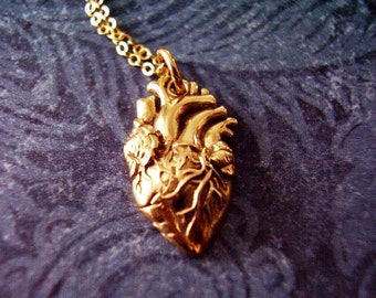 Gold Anatomical Heart Necklace - Bronze Anatomical Heart Charm on a Delicate 14kt Gold Filled Cable Chain or Charm Only