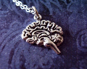 Silver Brain Necklace - Sterling Silver Brain Charm on a Delicate Sterling Silver Cable Chain or Charm Only
