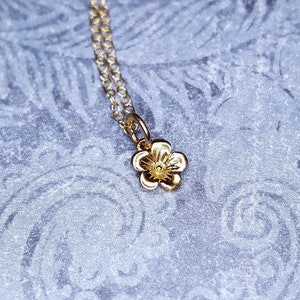 May include: A delicate gold necklace with a small flower pendant. The flower is detailed with a center circle and five petals.