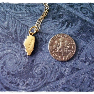 Tiny Gold Illinois State Necklace Raw Brass Illinois Charm on a Delicate 14kt Gold Filled Cable Chain or Charm Only image 2