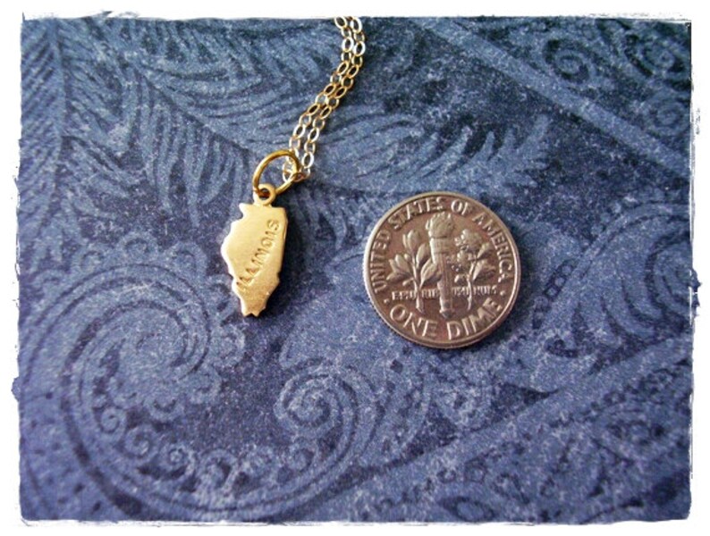 Tiny Gold Illinois State Necklace Raw Brass Illinois Charm on a Delicate 14kt Gold Filled Cable Chain or Charm Only image 2