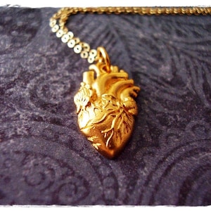 Matte Gold Anatomical Heart Necklace - Matte 24kt Gold Plate Anatomical Heart Charm on a Delicate 14kt Gold Filled Cable Chain or Charm Only