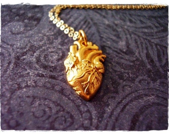 Matte Gold Anatomical Heart Necklace - Matte 24kt Gold Plate Anatomical Heart Charm on a Delicate 14kt Gold Filled Cable Chain or Charm Only