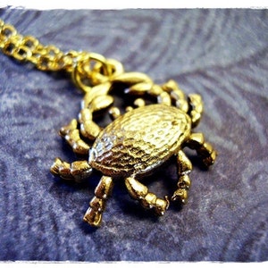 Collar de cangrejo dorado: dije de cangrejo de peltre dorado antiguo en una delicada cadena tipo cable chapada en oro o solo dije