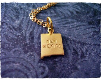 Tiny Gold New Mexico State Necklace - Raw Brass New Mexico Charm on a Delicate 14kt Gold Filled Cable Chain or Charm Only