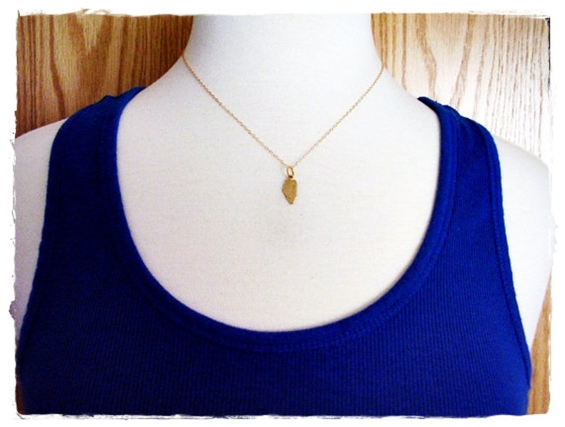 Tiny Gold Illinois State Necklace Raw Brass Illinois Charm on a Delicate 14kt Gold Filled Cable Chain or Charm Only image 3