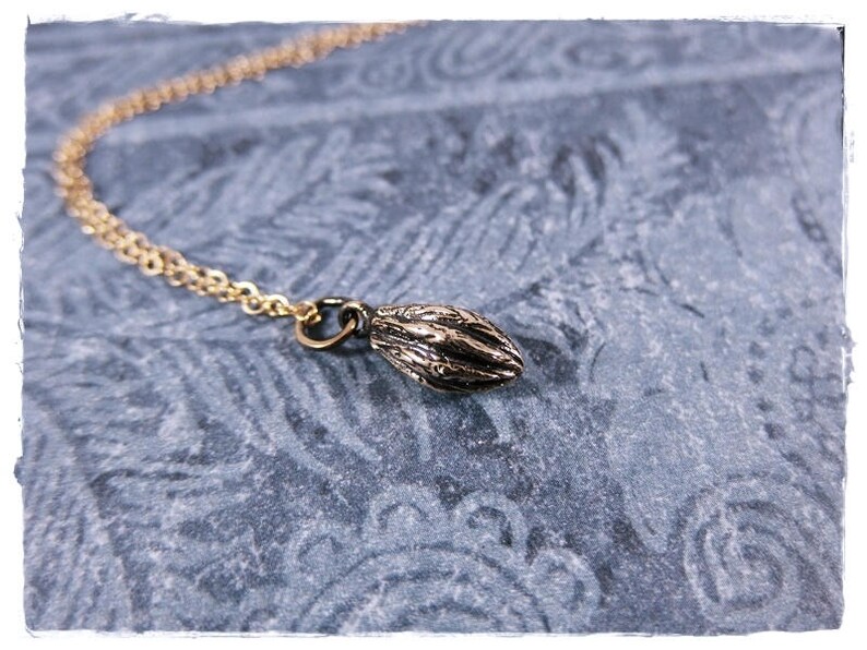 Gold Cocoa Bean Necklace Bronze Cocoa Bean Charm on a Etsy