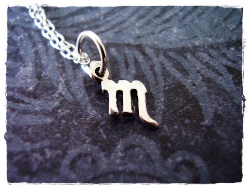 May include: A silver necklace with a small, silver charm shaped like the astrological sign Scorpio.