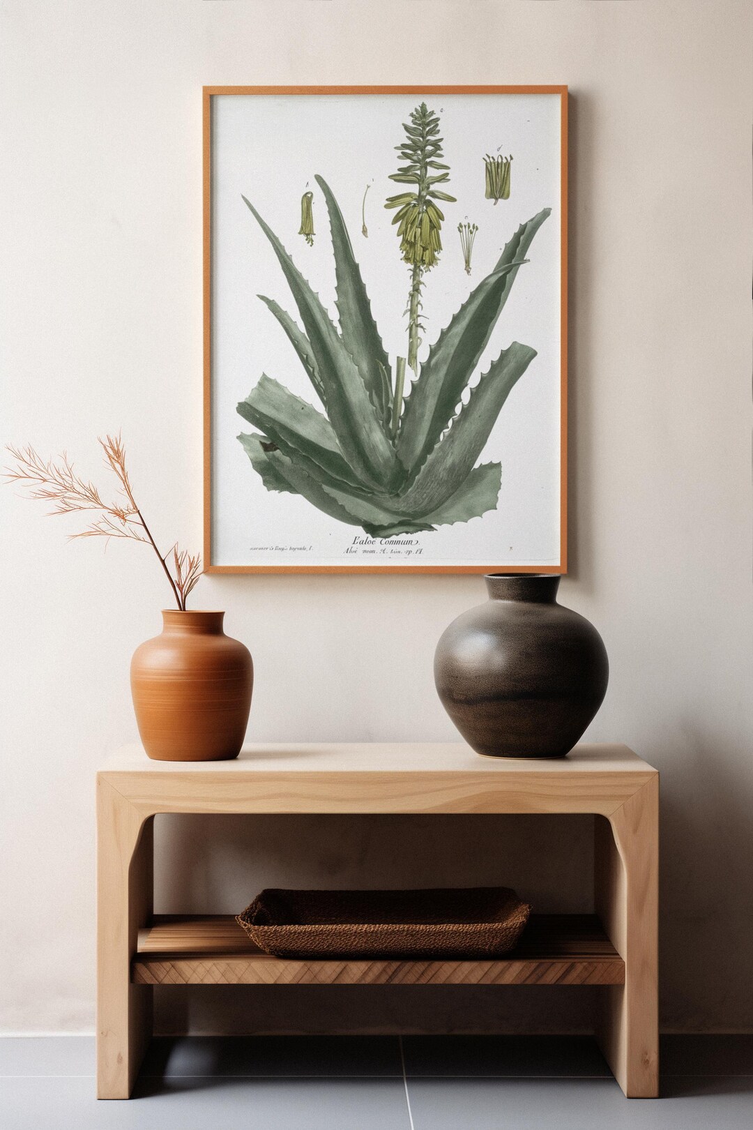 Vintage Aloe Vera Botanical Print – Antique Plant Illustration Wall Art ...