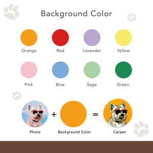 May include: A graphic showing how to change the background color of a photo. A photo of a dog wearing sunglasses is shown next to a yellow circle representing the background color. The result is a photo of the dog with a yellow background.