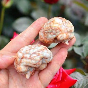 May include: Two small, brain-shaped sculptures. The sculptures are white with reddish-brown veining, resembling marble or stone. The objects are held in a person's hand, with a blurred background of red and green foliage.