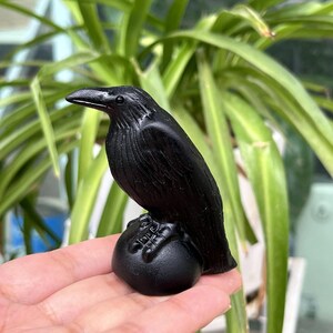 2.5‘’ Natural Obsidian Crow Skull, Quartz Crystal Crow,Crystal Animal,Crystal Energy,Reiki Healing,Home Decoration,Crystal Gifts 1PC
