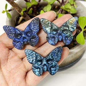 1.5&quot; Natural Labradorite Butterfly Skull,Quartz Butterfly,Crystal Animals,Crystal Energy,Reiki Healing,Home Decoration,Crystal Gifts 1PC