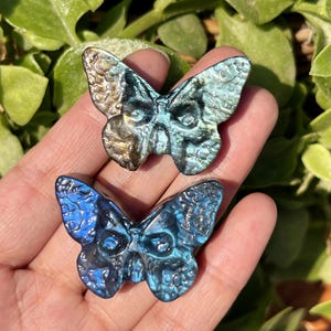 1.5&quot; Natural Labradorite Butterfly Skull,Quartz Butterfly,Crystal Animals,Crystal Energy,Reiki Healing,Home Decoration,Crystal Gifts 1PC