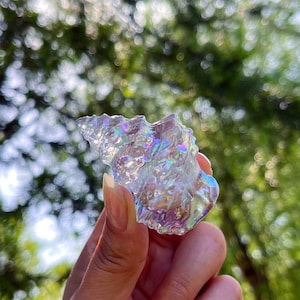 Rainbow Titanium Quartz Conch: Reiki Healing Crystal Decor (2.3")