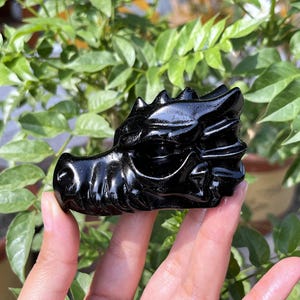 3‘’ Natural Obsidian Dragon Skull,Crystal Dragon,Black Dragon,Crystal Animal,Crystal Energy,Reiki Healing,Home Decoration,Crystal Gifts 1pc