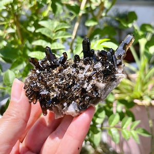 Natural Smoky Quartz Cluster,Extra Quality Rough,Raw Smoky Quartz Points,Reiki Healing,Home Decoration,Mineral Specimen,Crystal Gifts 1PC