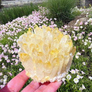 400g+ Yellow Point Quartz Cluster,Yellow Crystal Cluster,Quartz Crystal Cluster,Reiki Healing,Crystal Energy,Home Decoration,Crystal Gifts