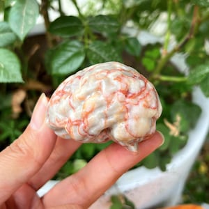 May include: A small, brain-shaped sculpture with a cream-colored base and red veining. The sculpture is held in a hand, with a blurred green background of leaves and a white pot.