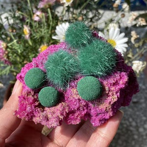 Zeldzaam exemplaar Indiase paardebloem rood korund, ruwe robijn, reikigenezingskristal, woondecoratie