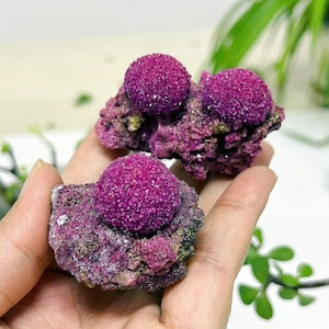 Puede incluir: Tres piezas de un espécimen mineral con llamativos grupos esféricos de cristales magenta intenso sobre una matriz rugosa y texturizada. Los cristales tienen un aspecto granular, y la matriz es una mezcla de tonos violáceos y verdosos.