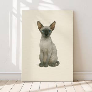 Stampa artistica da parete con gatto Sphynx Blue Point - Poster di un gatto senza pelo con occhi blu ghiaccio / Stampe perfette