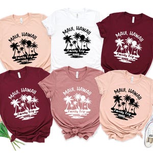 Custom Hawaii Family Trip Shirts 2025: Matching Tropical Tees