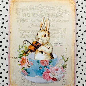 May include: A vintage illustration of a white rabbit playing a violin while sitting in a blue and white teacup with pink roses. The image is on a pink and cream background with text that reads "Chocolat Cacao, Drag&eacute;es Confiserie, Seneze-Sturbeelge, Gros: Rue Van 15-57, Scherbeck, Maison Retail: Neuve No 161, Royale No 74, Meir No 84."