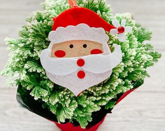 Felt Santa Claus Gift Card Holder | Christmas Gift Card Holder | Winter Gift Card Holder | Tree Ornament | Shipping Included