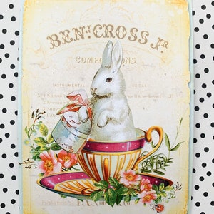 May include: Vintage illustration of a white rabbit sitting in a teacup with pink and yellow floral accents. The text "BENJ. CROSS Jr. COMPOSITIONS" is at the top of the image.