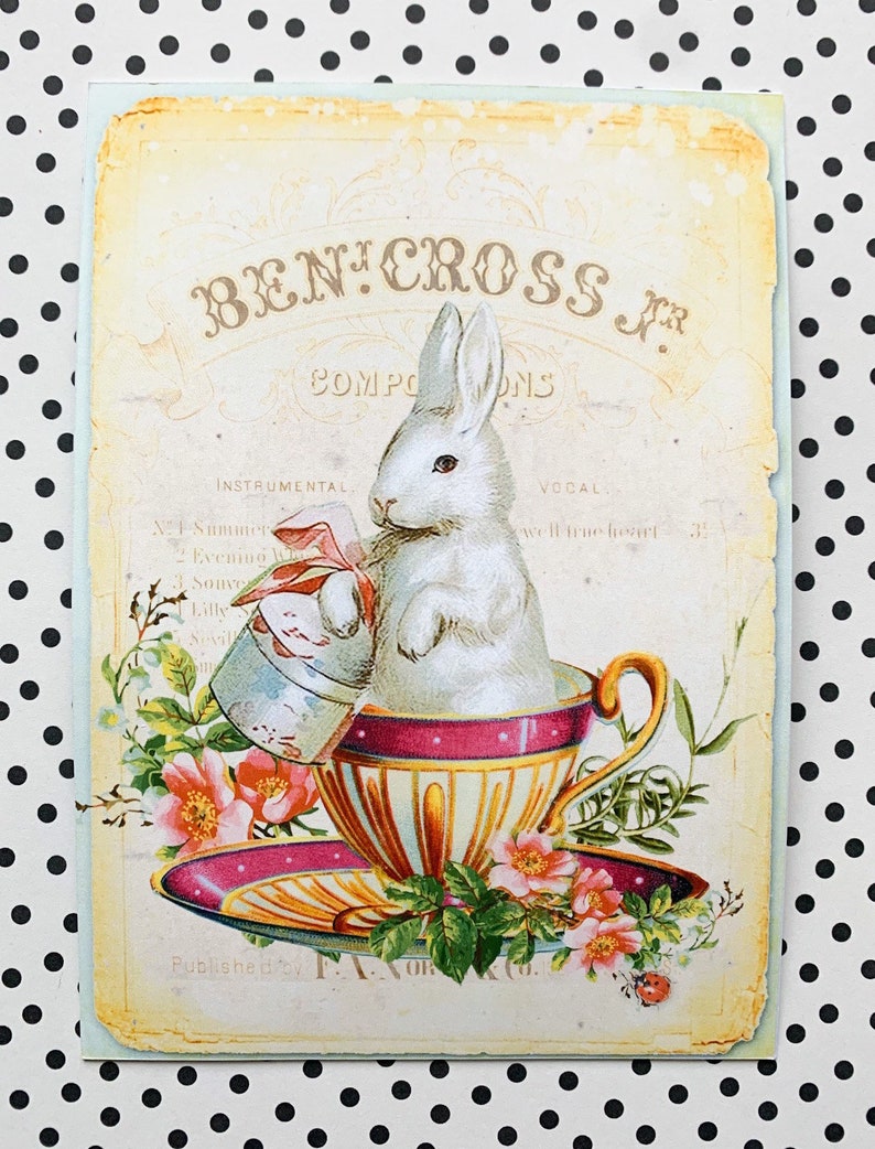 May include: Vintage illustration of a white rabbit sitting in a teacup with pink and yellow floral accents. The text "BENJ. CROSS Jr. COMPOSITIONS" is at the top of the image.