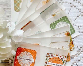Assorted Autumn Adhesives Fall Peel and Stick Embellishment Pumpkin Leaves Floral Sticker Cardmaking and Journaling