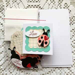 DIY Card Making Kit / / Valentijnsdag kaarten / / LadyBug Cards / / Kaarten voor kinderen / / Love Cards / / Set van 12