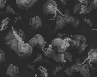 Jellyfish Wallpaper - Black