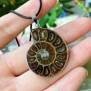 Könnte beinhalten: Eine Anhängerkette mit einem polierten Ammonitenfossil, das in einem silberfarbenen Metallrahmen eingefasst ist. Das Fossil zeigt ein Spiralmuster in Braun- und Beigetönen, das an einer schwarzen Kordel hängt.