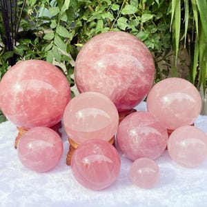 Op de afbeelding: Een verzameling rozenkwarts bollen in verschillende maten. De bollen variëren in kleur van lichtroze tot een diepere roze tint, met zichtbare natuurlijke adering. Sommige bollen worden tentoongesteld op kleine houten standaards, tegen een achtergrond van groen gebladerte.