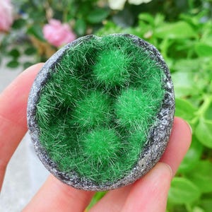 May include: A small, oval-shaped decorative item with a dark gray, textured exterior. The interior is filled with vibrant, spiky green material, resembling miniature grass clumps. The item is held in a hand, with a blurred background of greenery and flowers.