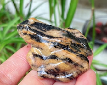 Natural Tiger skin stone Frog,Quartz Crystal Frog,Frog Carving,Crystal Animal,,home decoration,mineral specimen,Crystal healing, 1PC