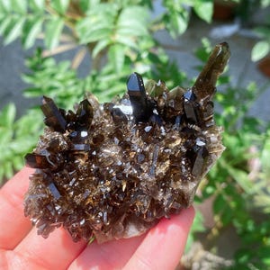 Natural Smoky Quartz Cluster,Extra Quality Rough,Raw Smoky Quartz Points,Reiki Healing,mineral specimen,Crystal healing,Crystal gifts 1PC