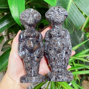 May include: Two grey and brown alien figurines with large heads and oval eyes. The statues are made of a speckled stone material and stand on rectangular bases. The background features green foliage. Each figurine is approximately 10 cm tall.