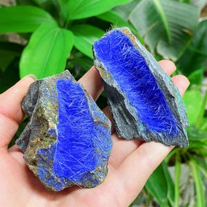 May include: Two rough-cut azurite mineral specimens. The stones have a dark gray exterior with a vibrant, deep blue interior. The blue color has a fibrous, almost hair-like texture. The background is blurred green foliage.