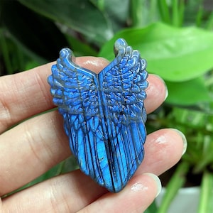 Puede incluir: Un cristal de labradorita azul tallado en forma de alas de ángel. Las alas están detalladas con texturas similares a plumas y muestran destellos iridiscentes de azul y turquesa. La piedra preciosa se sostiene contra un fondo de follaje verde.