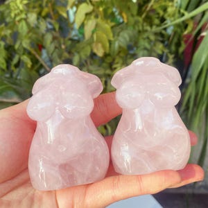 May include: Two pink rose quartz crystal figurines shaped like torsos. The figurines are smooth and polished, with rounded shapes and subtle veining. The background is blurred, with green foliage visible.