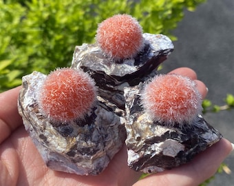 Spécimen de minéral zéolite rare : pierre précieuse brute, amas de cristaux de quartz