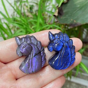May include: Two carved gemstone unicorn heads. One is a deep purple with blue and lavender flashes, the other is a vibrant blue. The carvings have detailed manes and facial features, showcasing the natural stone's luster.