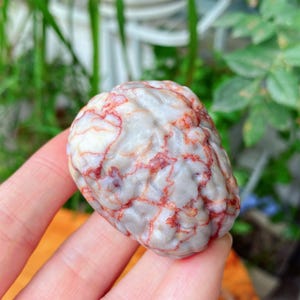 May include: A smooth, rounded stone with a white base color and intricate red veining patterns. The stone is held in a hand, showcasing its natural texture and unique appearance. The stone's surface has a marbled effect.