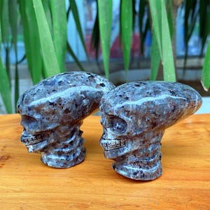May include: Two carved stone skulls with a speckled grey and brown pattern. The skulls have detailed facial features and sit atop a textured, cylindrical base. The background features green foliage and a wooden surface.