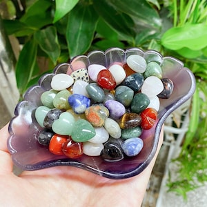 May include: A collection of polished gemstones in various colors, including red, green, blue, and white, fills a purple, leaf-shaped dish. The gemstones are smooth and rounded, with a variety of patterns and textures. The dish is held in a hand, with green foliage in the background.